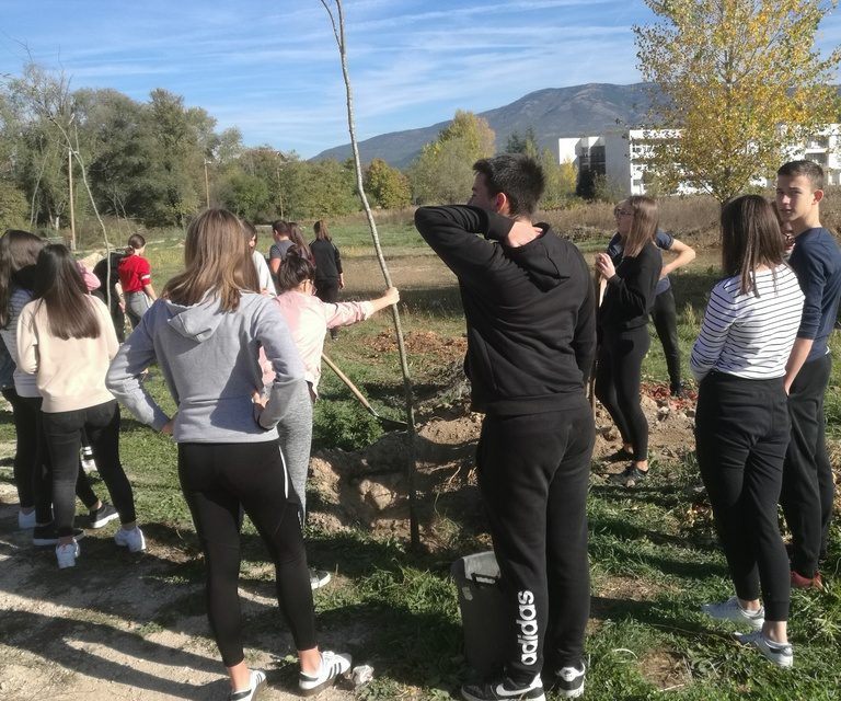 ZASADI DRVO, NE BUDI PANJ
