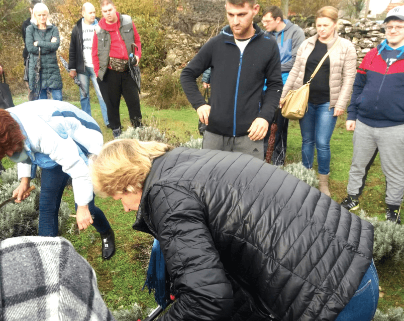 Program osposobljavanja za uzgajivača, prerađivača i sakupljača ljekovitog i aromatičnog bilja